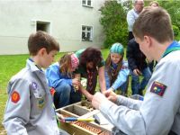 Insektenhotel basteln 2